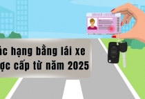 CÁC LOẠI GPLX VÀ ĐỘ TUỔI ĐƯỢC THI LẤY BẰNG MỚI NHẤT TỪ NĂM 2025